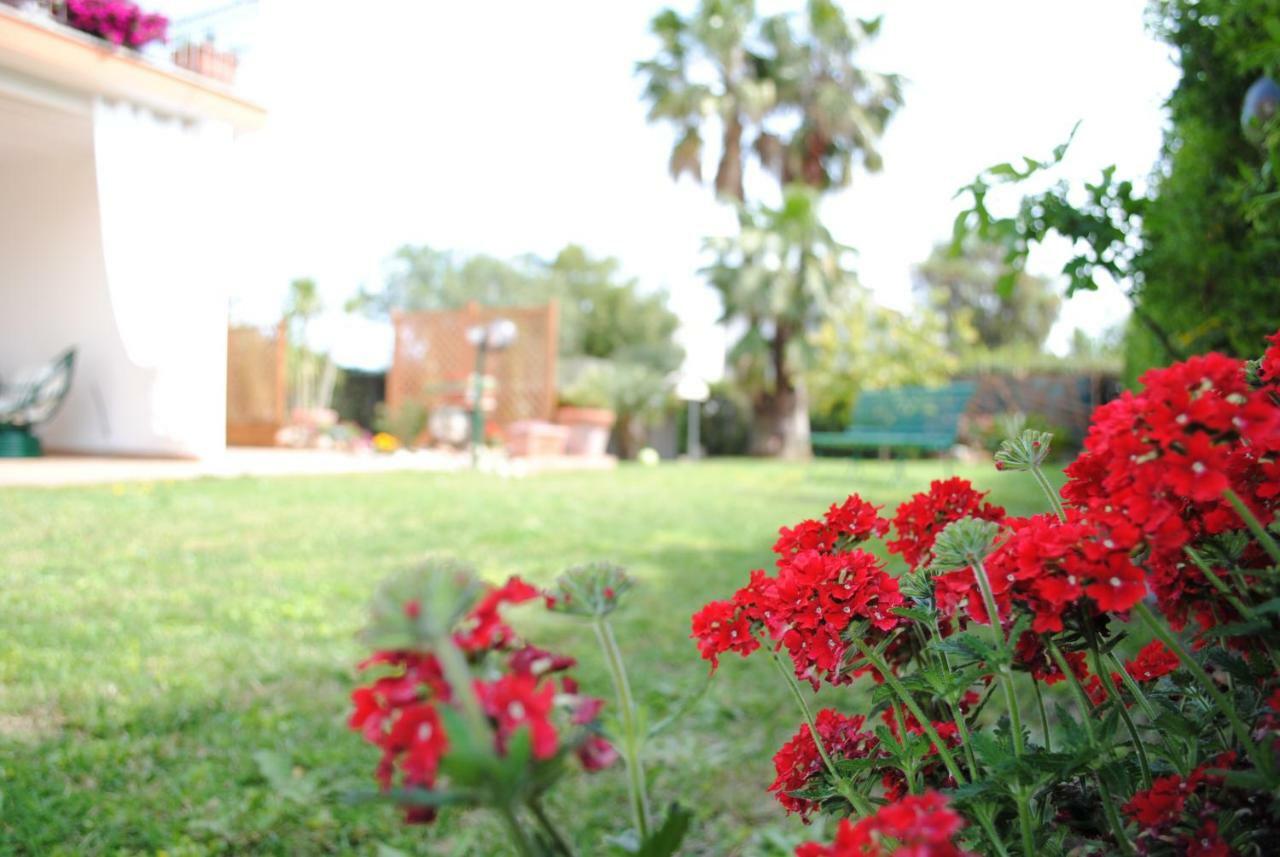 Villa Regina B&B Nettuno Exterior foto